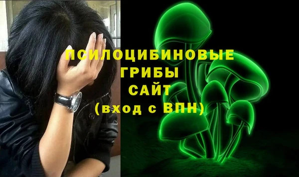 а пвп мука Слюдянка