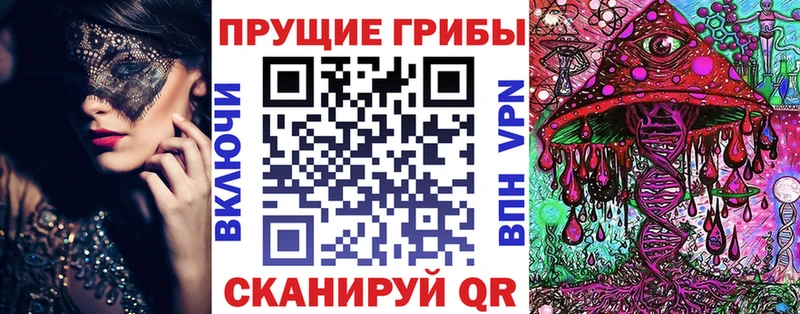 Галлюциногенные грибы Cubensis  где купить наркотик  Правдинск 